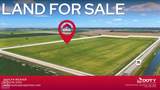 586 Acres Cr 153 - Photo 6