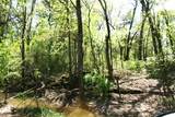 60-Acres Law 216 - Photo 10