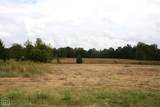 60-Acres Law 216 - Photo 13