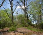 60-Acres Law 216 - Photo 9