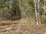 881 Driftwood Drive - Photo 3