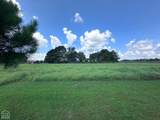164 Clay 474 Road - Photo 55