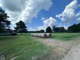 164 Clay 474 Road - Photo 66