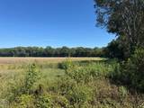 619-acres Flag Slough Lane - Photo 12