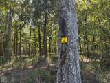 619-acres Flag Slough Lane - Photo 14