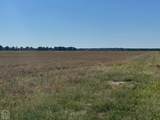 619-acres Flag Slough Lane - Photo 19