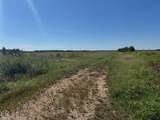 619-acres Flag Slough Lane - Photo 2