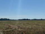 619-acres Flag Slough Lane - Photo 27