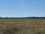 619-acres Flag Slough Lane - Photo 28