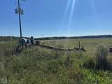 619-acres Flag Slough Lane - Photo 3