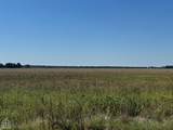619-acres Flag Slough Lane - Photo 7
