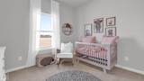 4909 Edgemont Drive - Photo 35