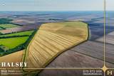 855 Acres in Bono, Ar - Photo 2
