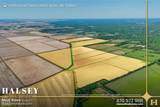 855 Acres in Bono, Ar - Photo 5