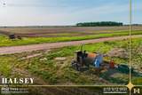 855 Acres in Bono, Ar - Photo 7