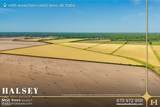 855 Acres in Bono, Ar - Photo 8