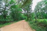 2 County Road 160 - Photo 8