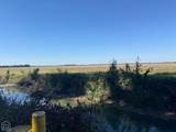 619-acres Flag Slough Lane - Photo 15