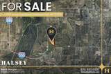 166 Acres - Photo 1