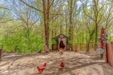 2337 County Road 380 - Photo 44