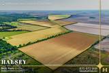 855 Acres in Bono, Ar - Photo 6