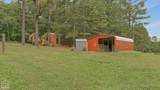 4121 Damron Drive - Photo 67