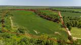 166 Acres - Photo 2