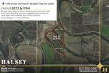 166 Acres - Photo 7