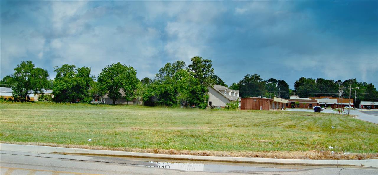 Lot 11 Willow Creek - Photo 1