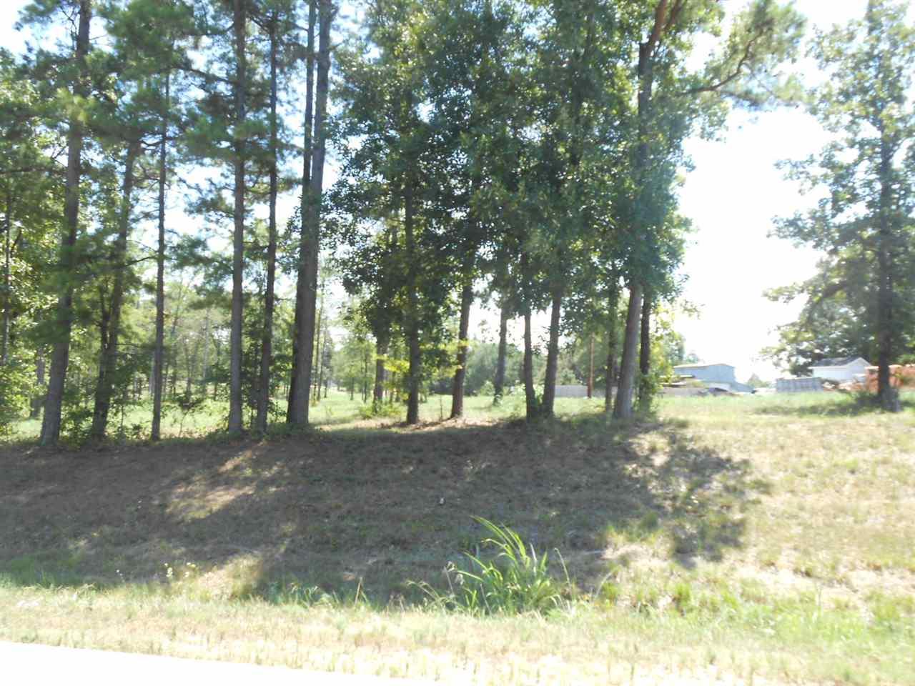 LOT 1 Cr 428 - Photo 1