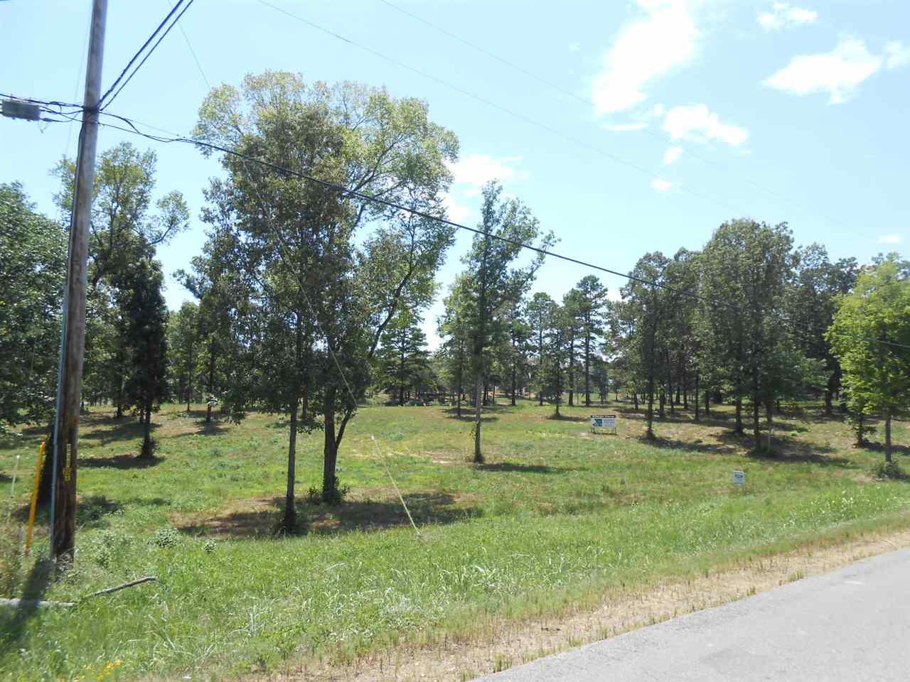 LOT 3 Cr 428 - Photo 1