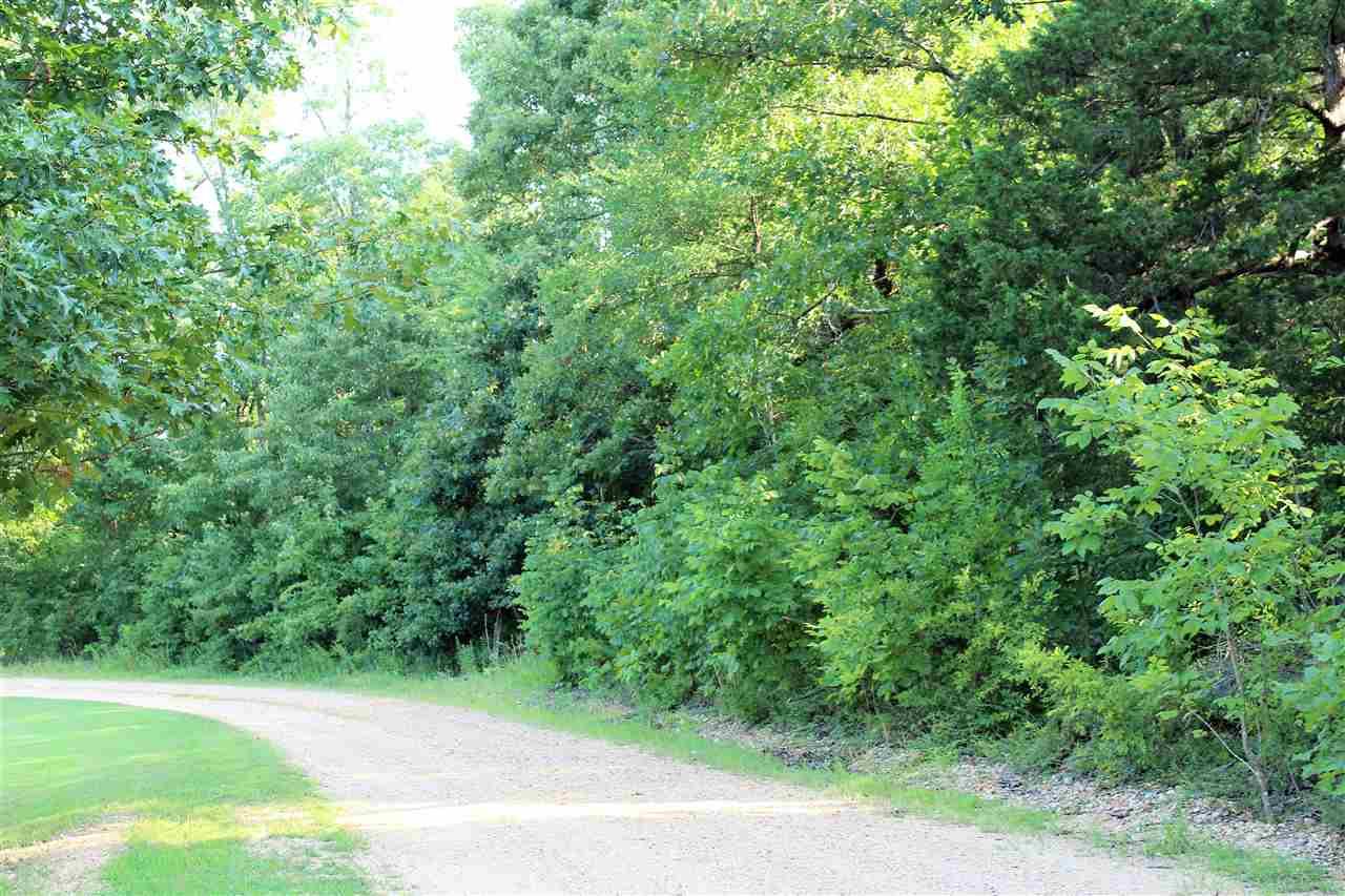 16 Acres Greene Road 560 - Photo 1