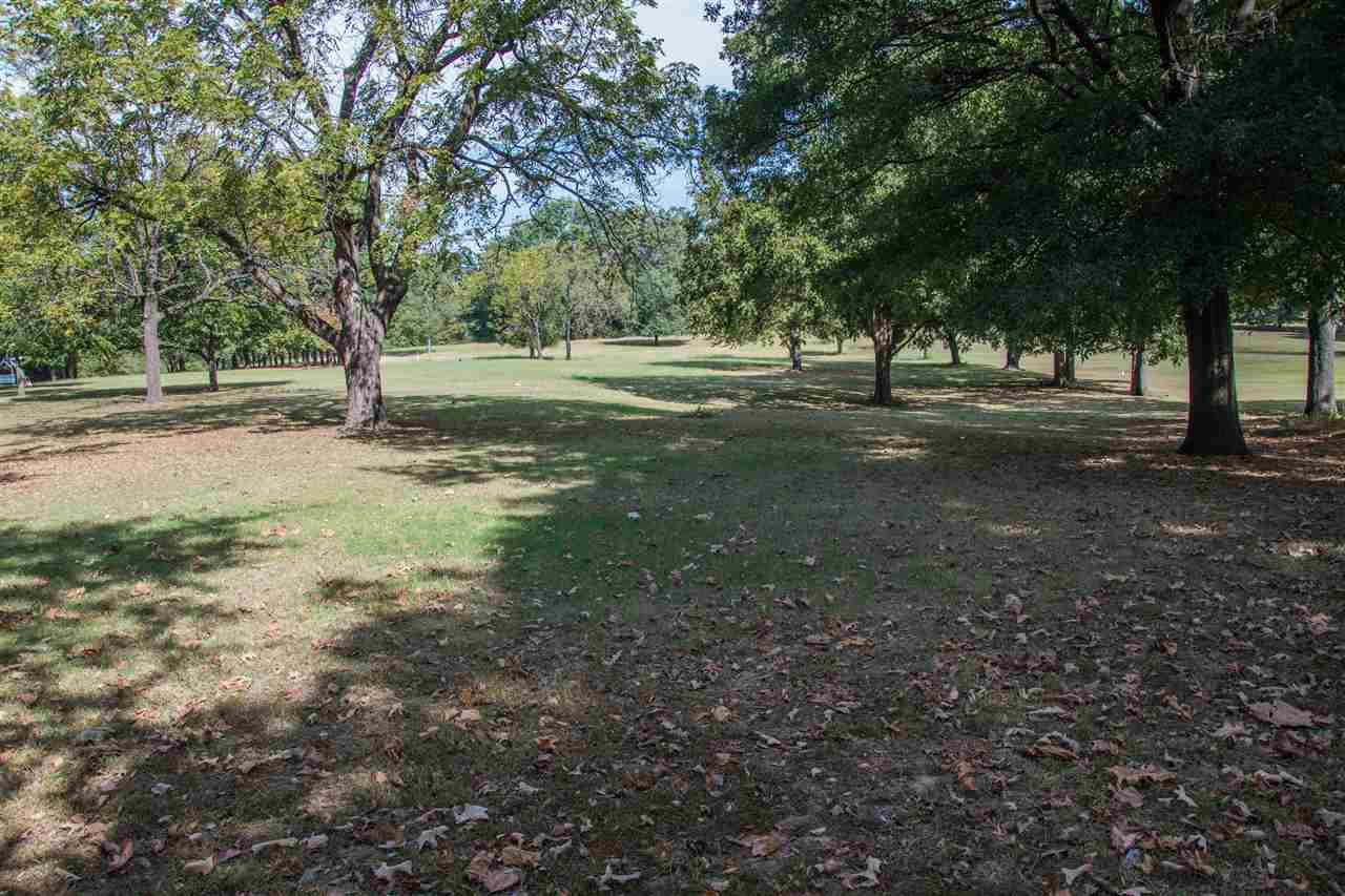 Lot 15 Pecan Acres - Photo 1