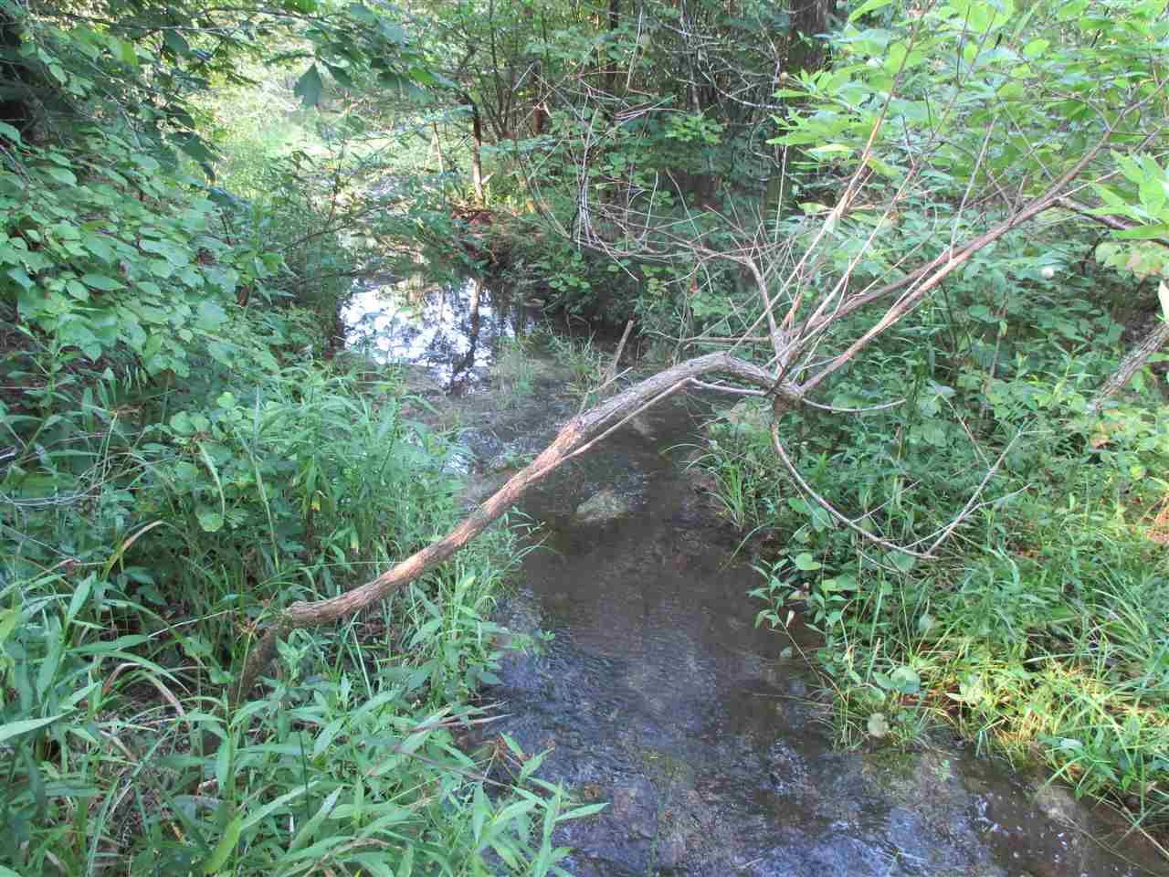 000 Thousand Oaks Drive - Photo 1
