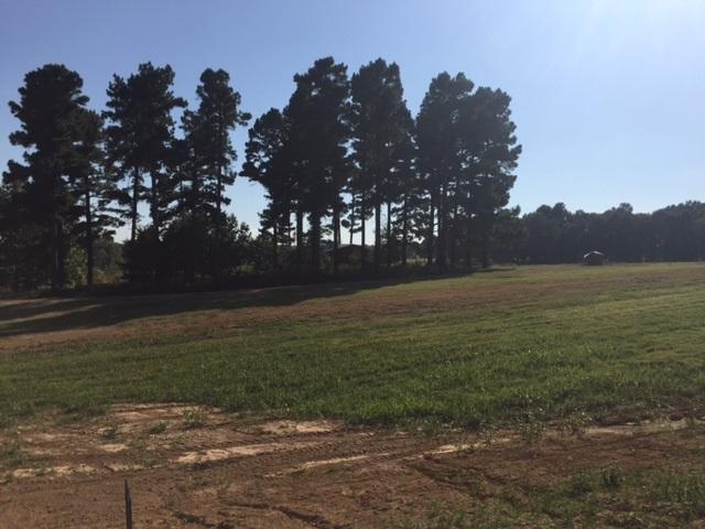 LOT #9 Greensboro Ridge - Photo 1