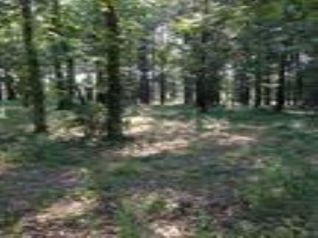 1.98 +/- Acres Winchester Drive - Photo 1