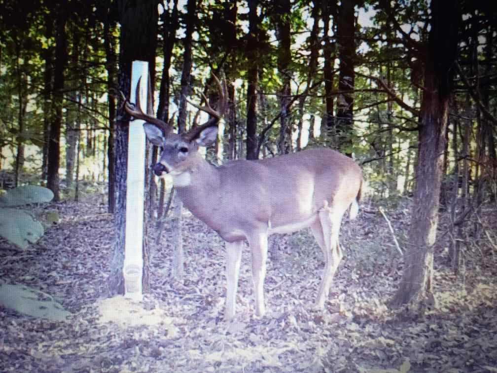 675 Gr 706 Rd - Photo 1