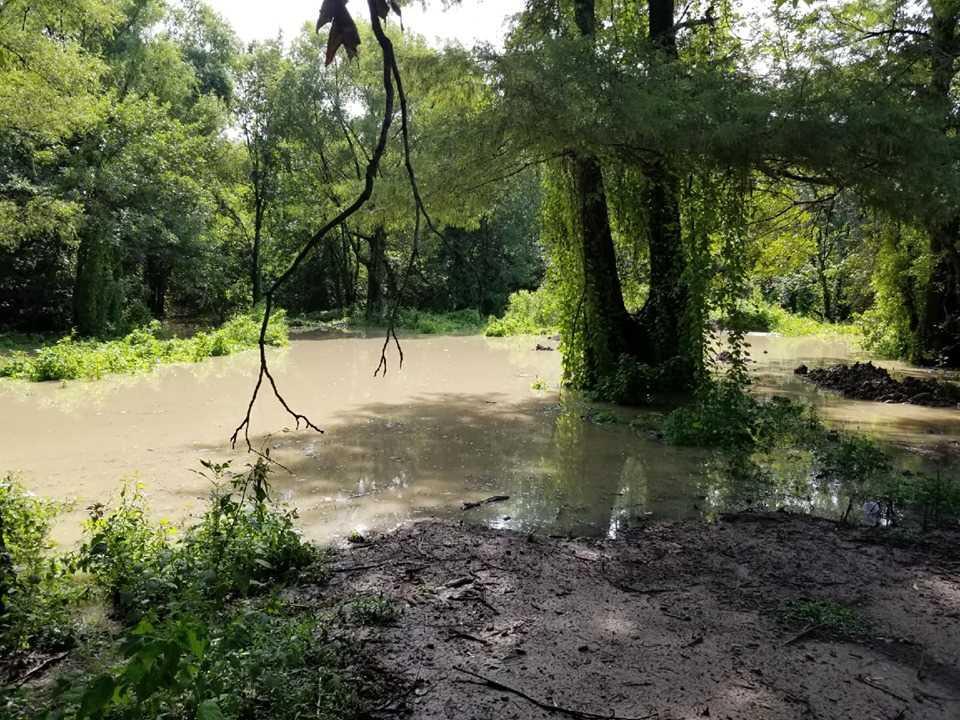 8250 Highway 412 E - Photo 1
