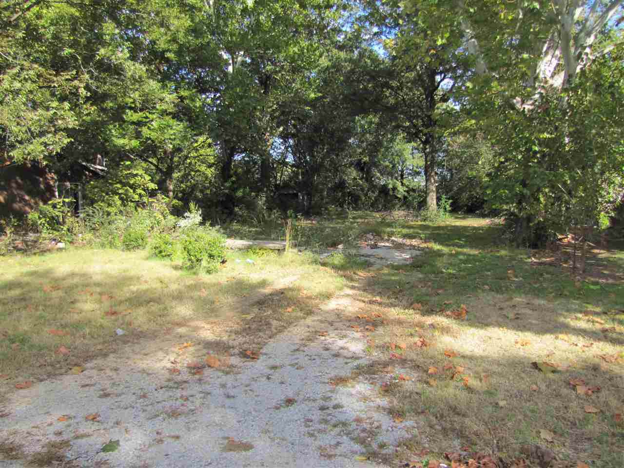 3704 Griffin - Photo 1