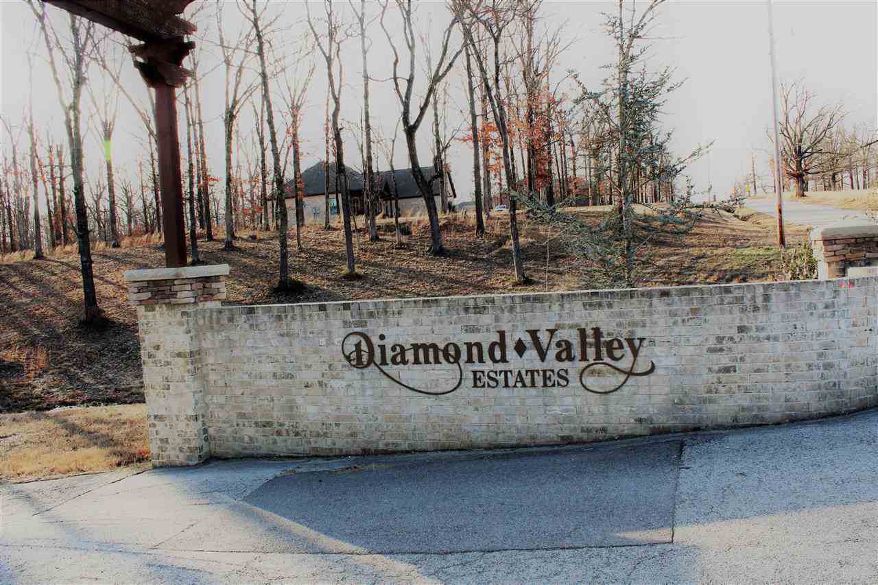 Lot 8 Diamond Valley Estates - Photo 1