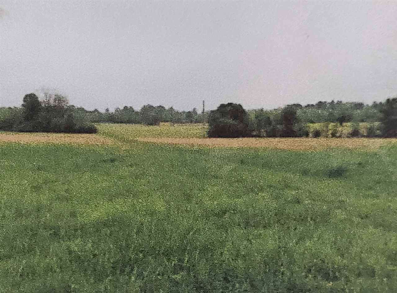 80 Unity Road - Photo 1