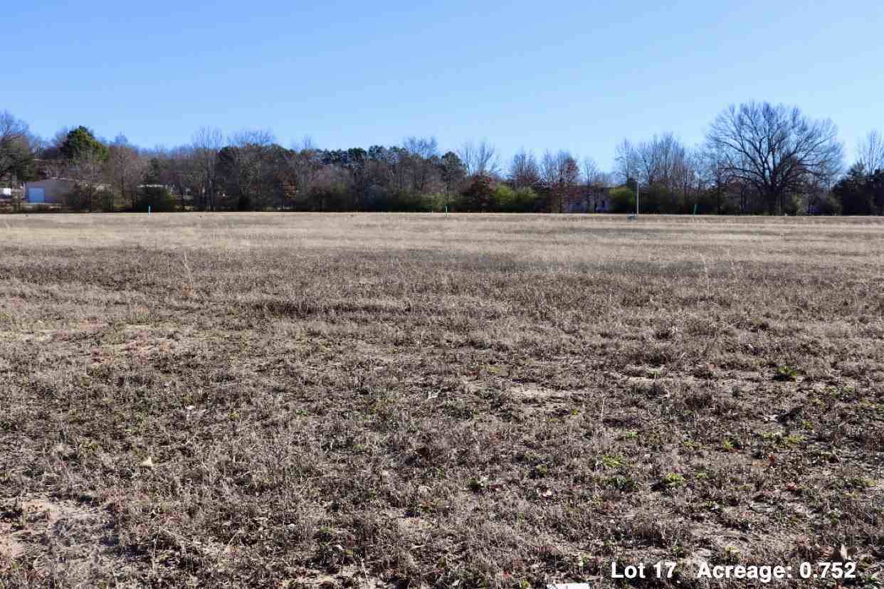 5620 Bachelors Gulch Drive - Photo 1