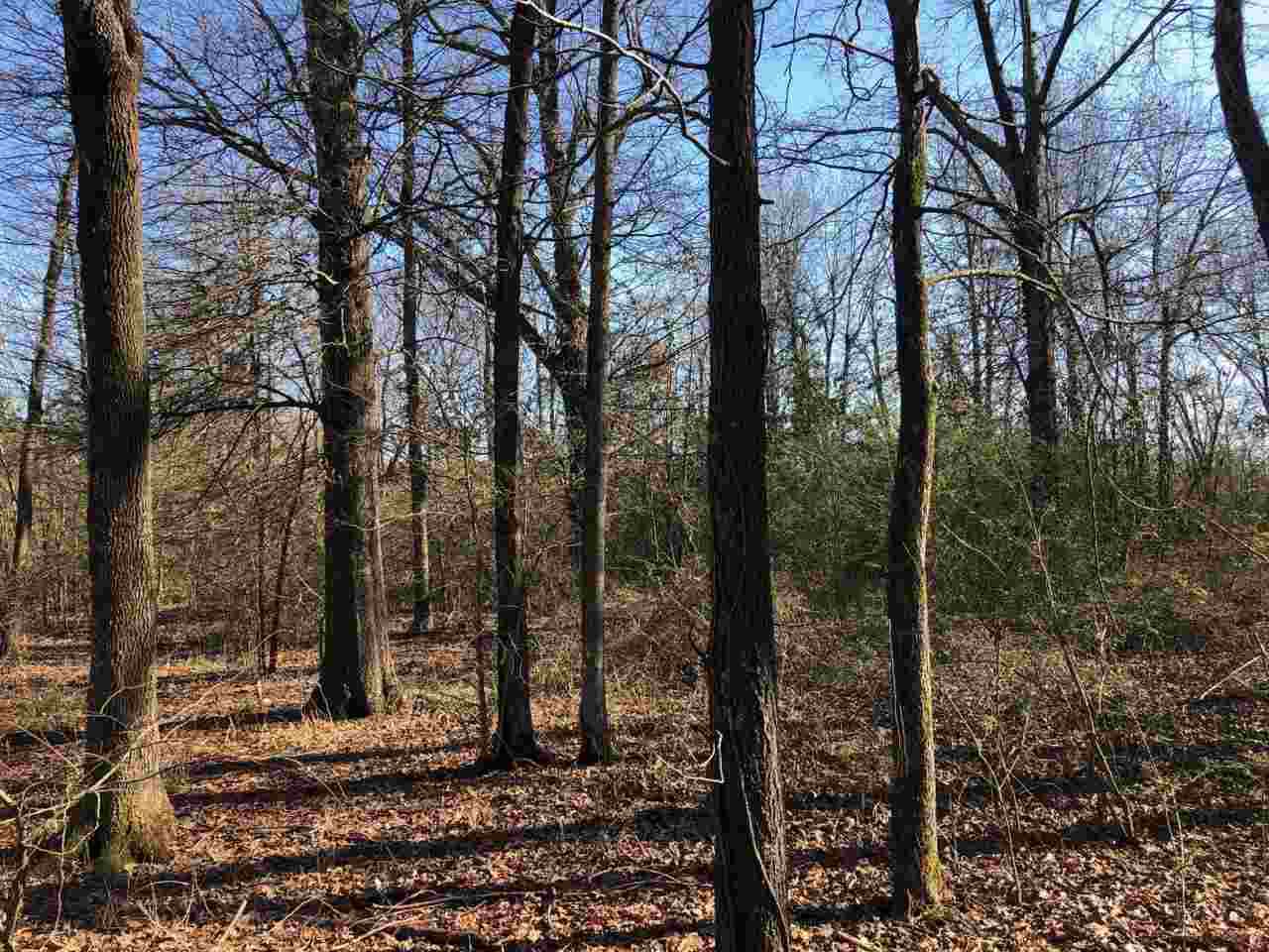 10 Acres Cr 963 - Photo 1