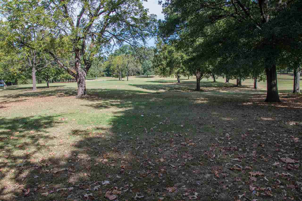 Lot 27 Pecan Acres - Photo 1