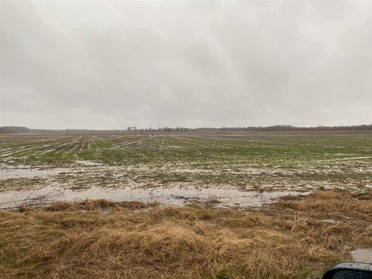 4015 Hwy 14 E - Photo 1