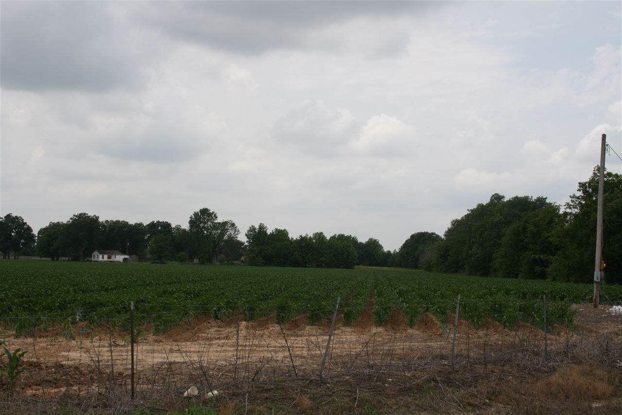 3013 Hwy 463 - Photo 1