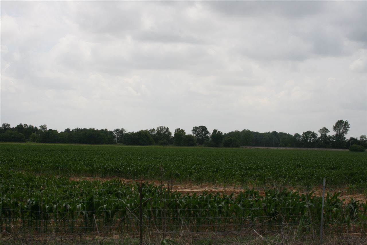 3013 Hwy 463 S - Photo 1