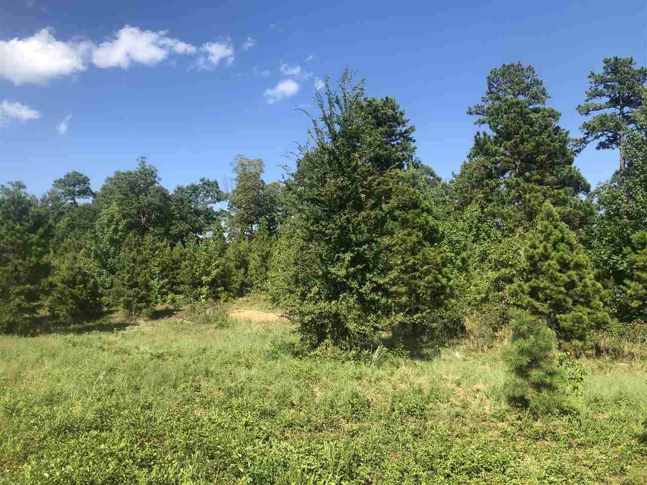 000 Greene 729 Road (Diggs) - Photo 1