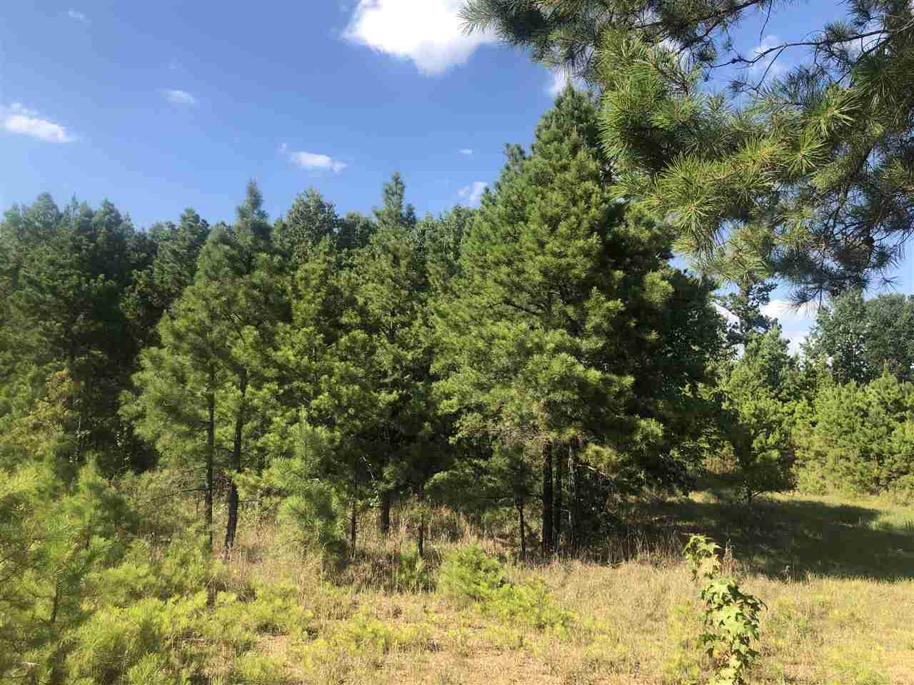 000 Greene 729 Road (Diggs) - Photo 1