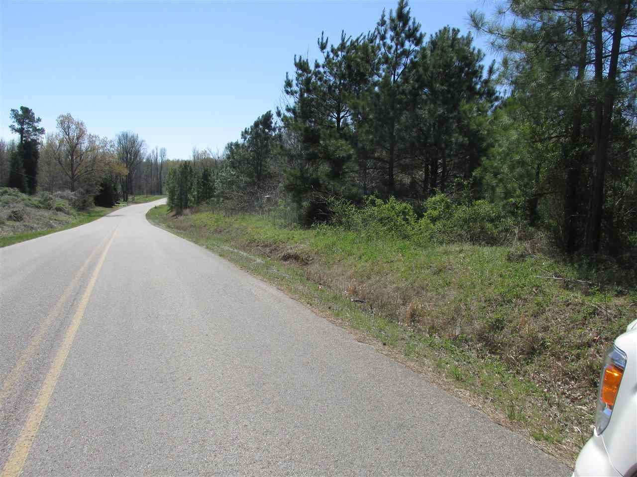 21+/- Acres Cr 755 - Photo 1